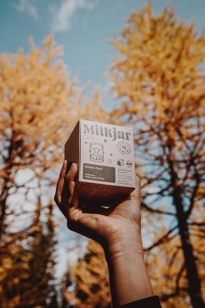 Golden Hour 8oz Coconut Soy Candle