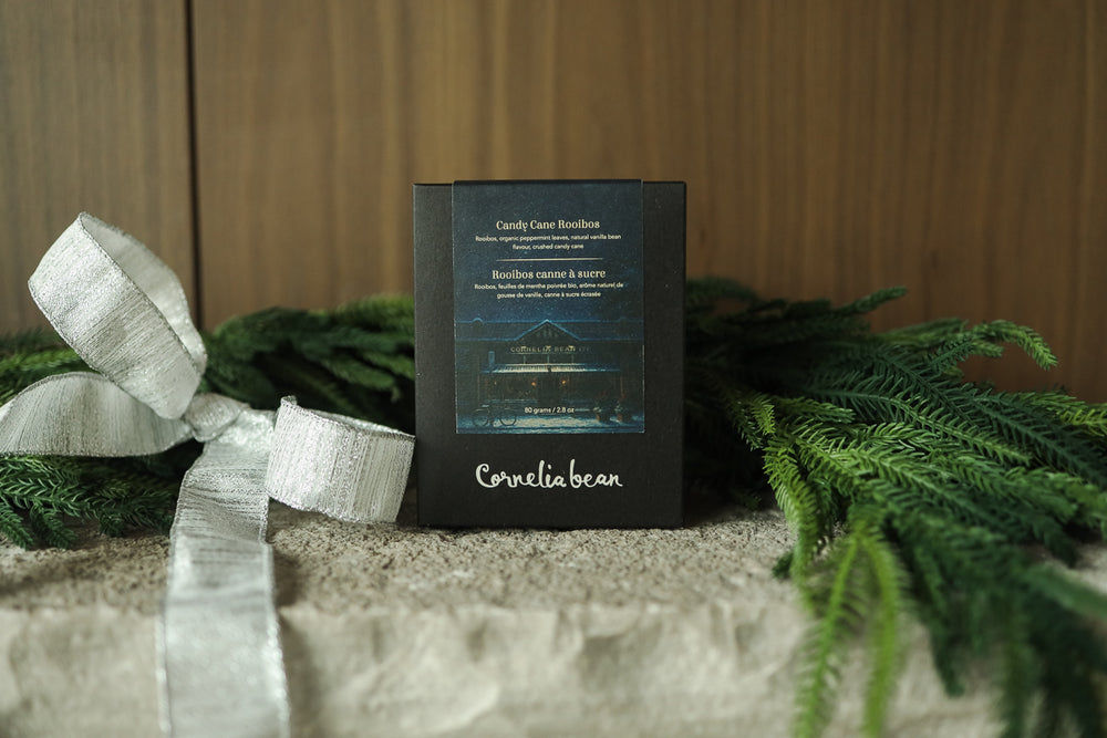 Candy Cane Holiday Box