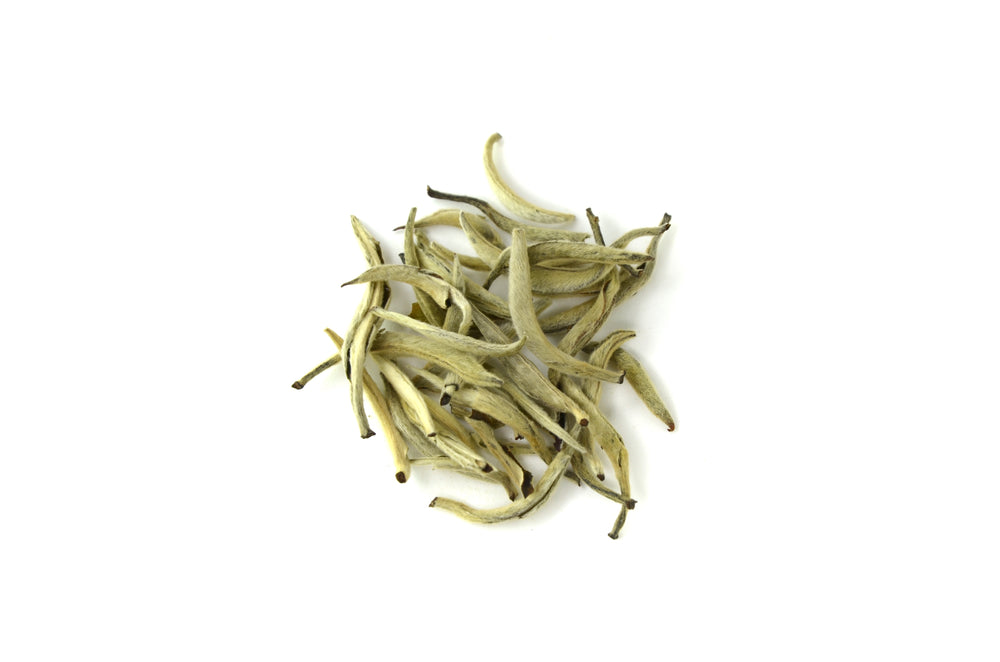 Silver Needle White Tea