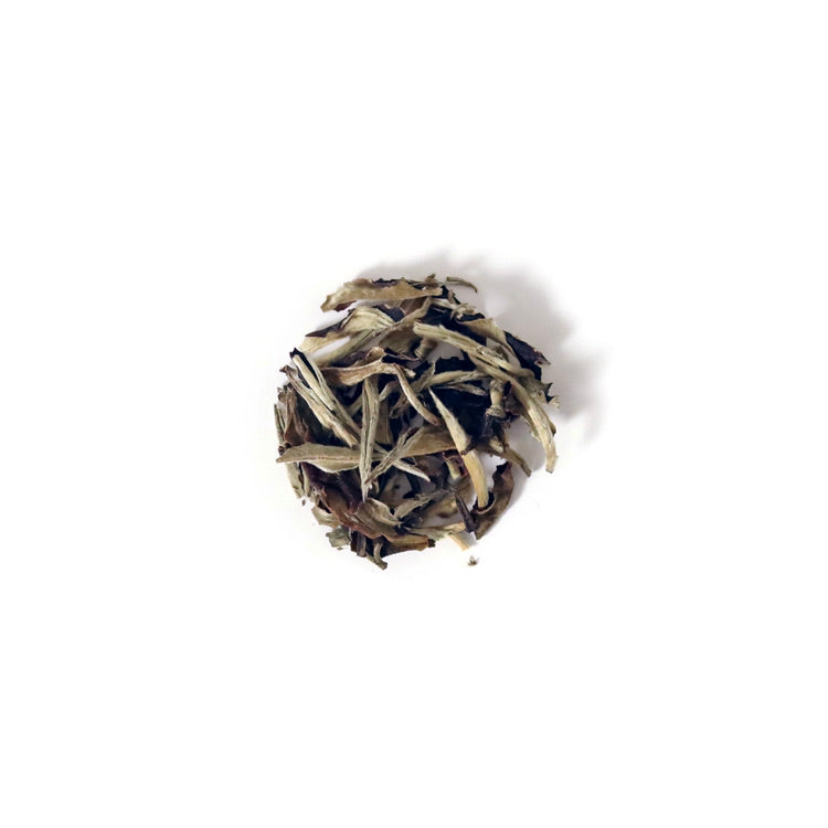 Wild Harvest White Tea