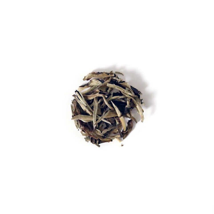 
            
                Load image into Gallery viewer, Wild Harvest White Tea
            
        